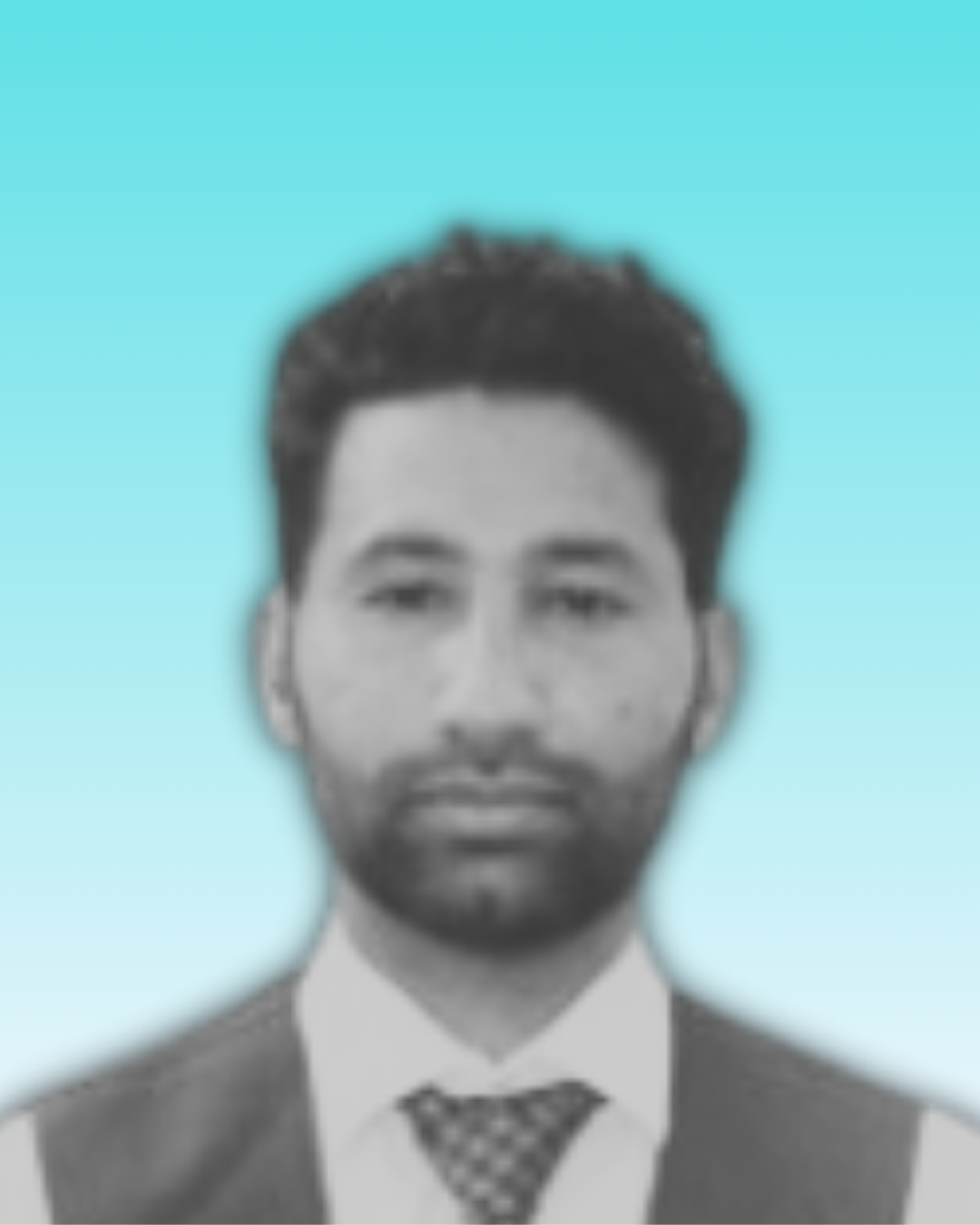 Web professional